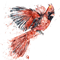 Cardinal Watercolor Bird Painting.png