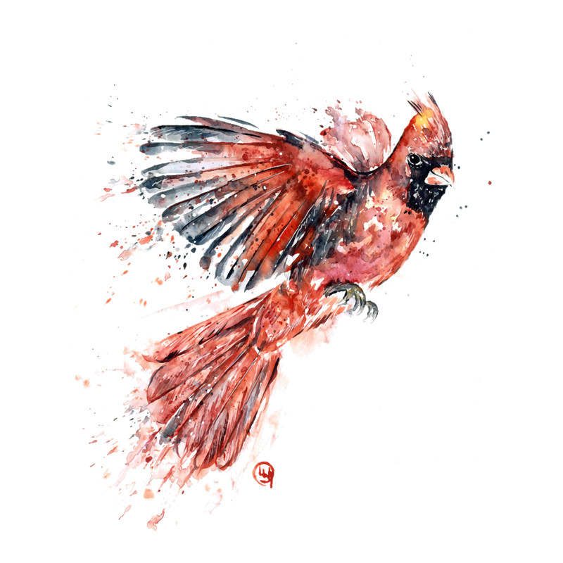 Cardinal Watercolor Bird Painting.png