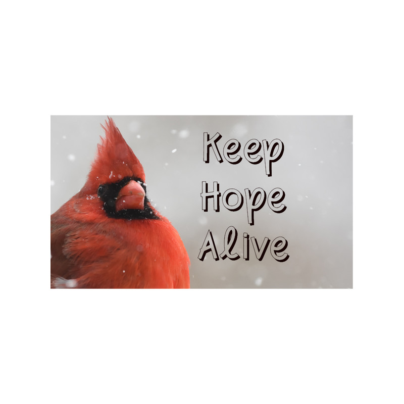 Keep Hope Alive Cardinal.png