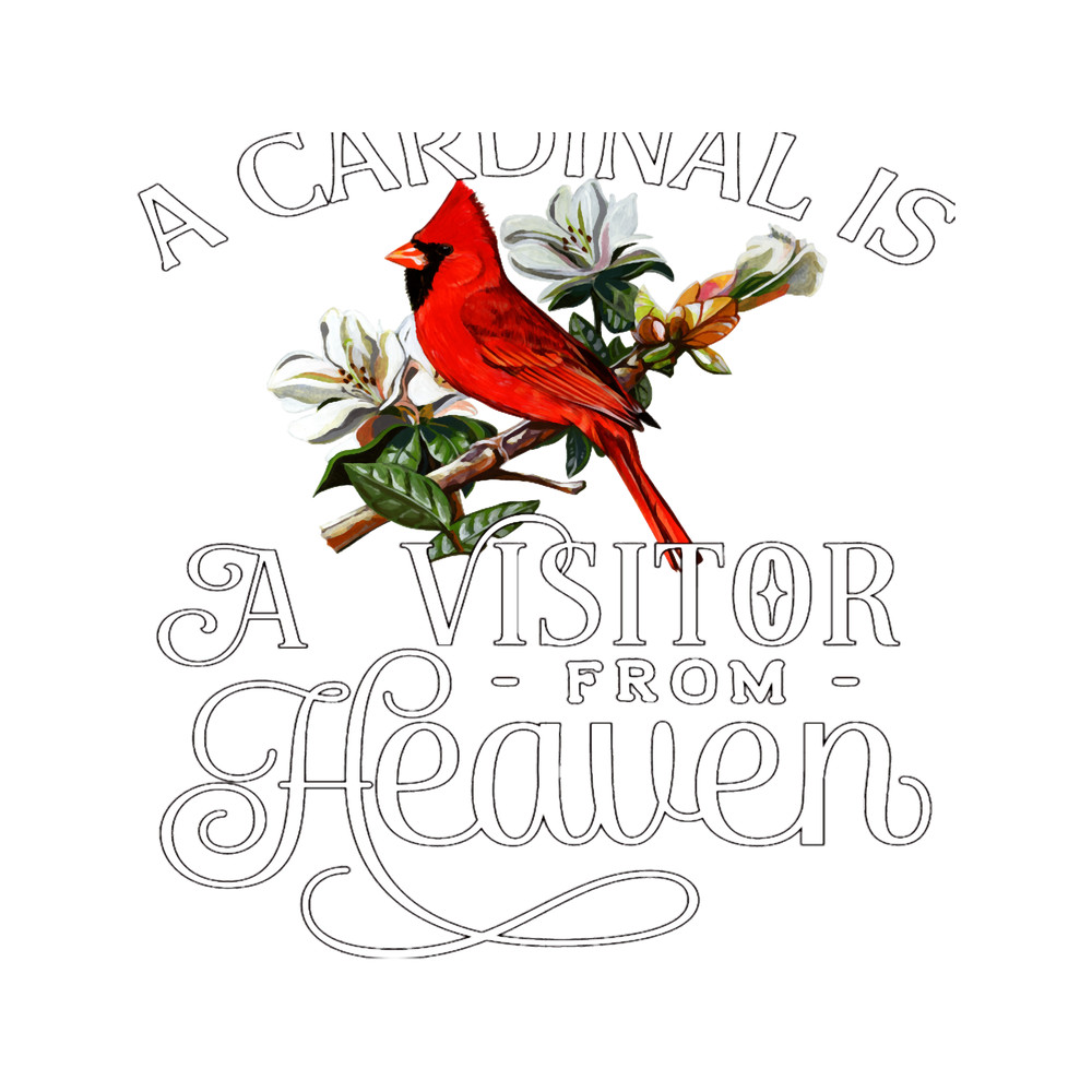 Northern Red Cardinal A Cardinal Is A Visitor From Heaven.png