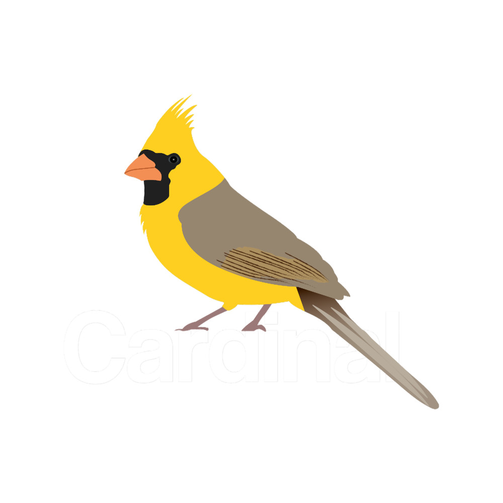 Rare Yellow Cardinal.png
