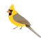 Rare Yellow Cardinal.png