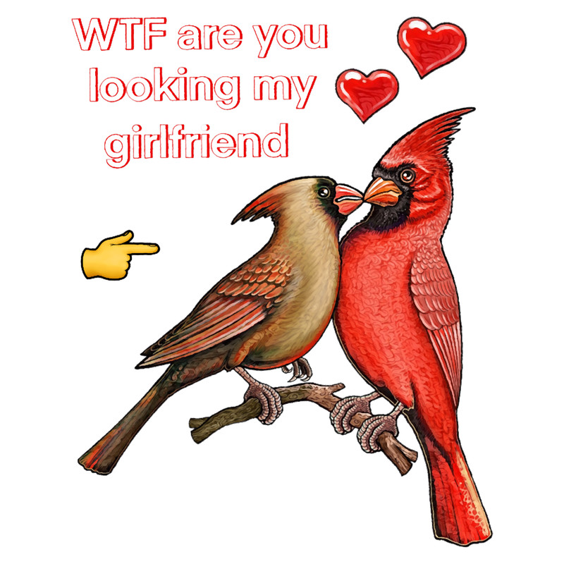 Red Cardinal bird (2).png