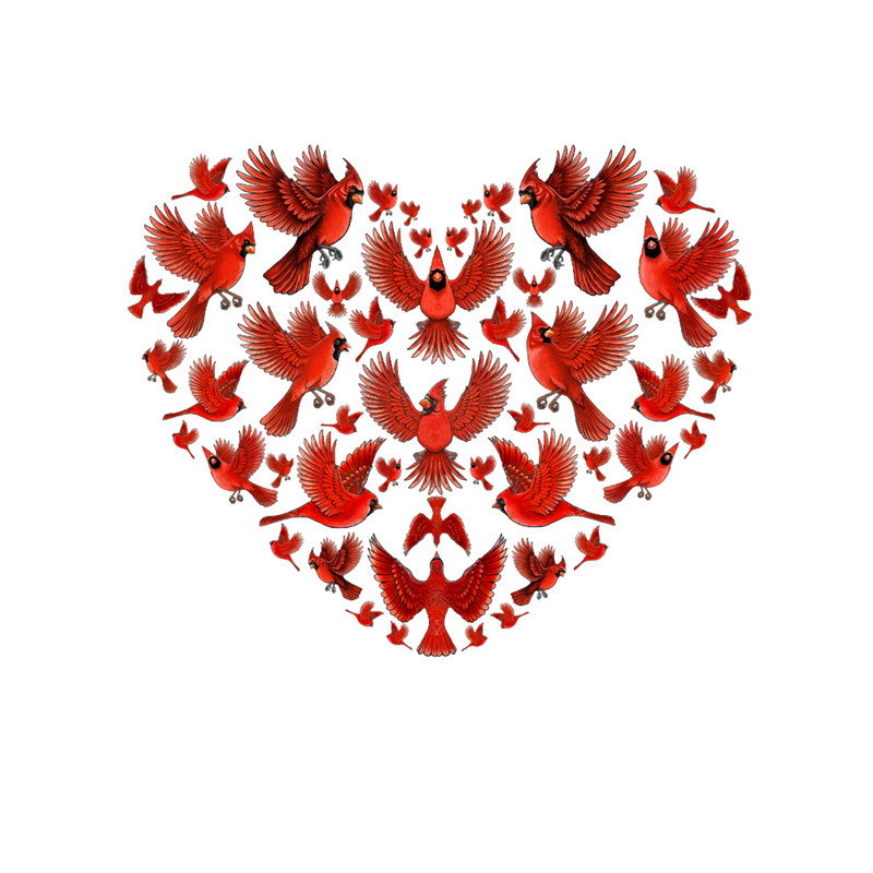 Red Cardinal bird heartbeat love you.png