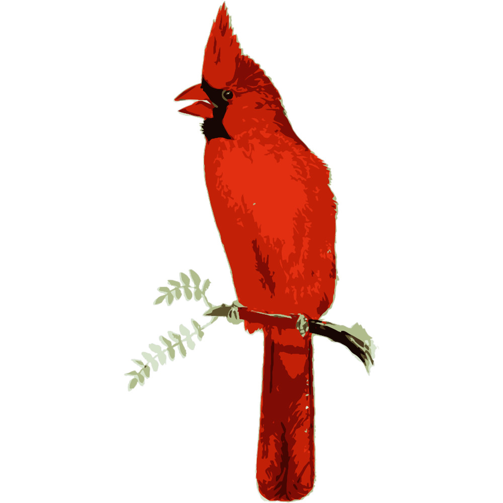 Red Cardinal Bird Vintage.png
