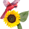 SUNFLOWERS CARDINAL BIRDS(2).png