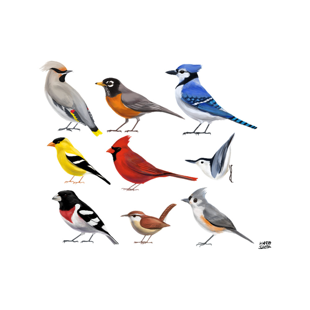 The year of the bird (North America).png