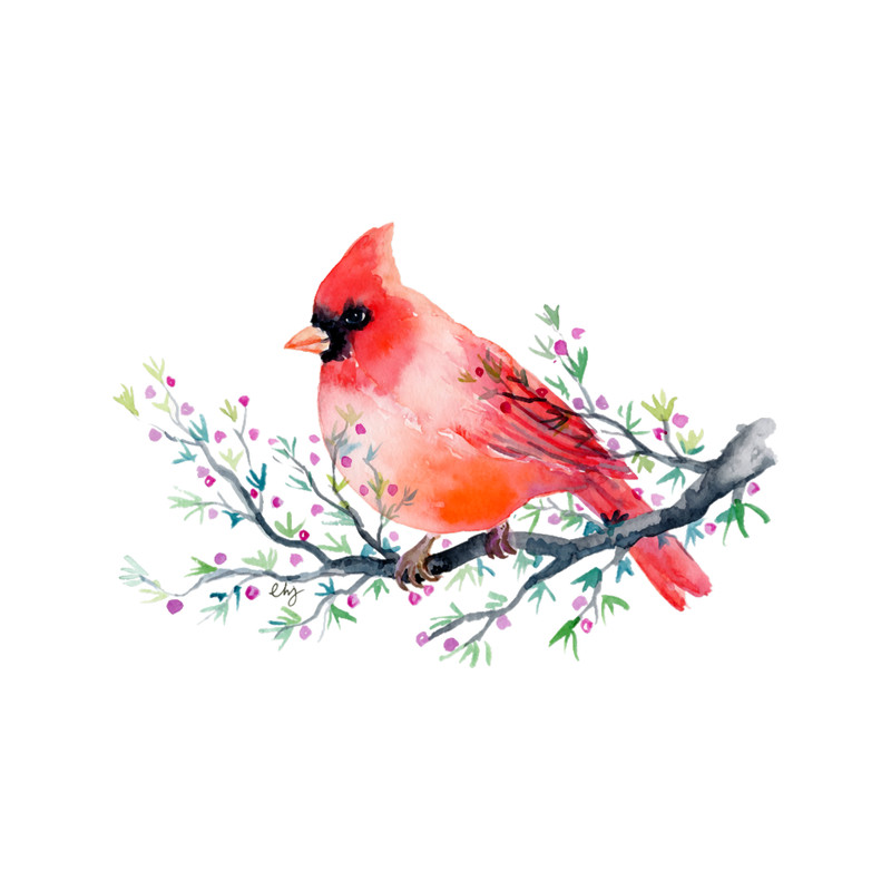 Watercolour red cardinal bird.png