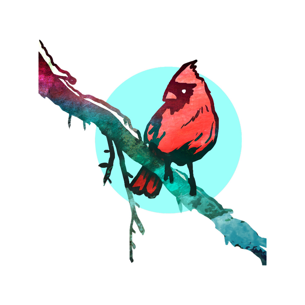 Winter Cardinal (2).png