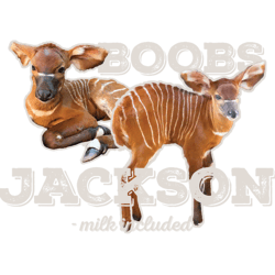 boobs jackson the antelope