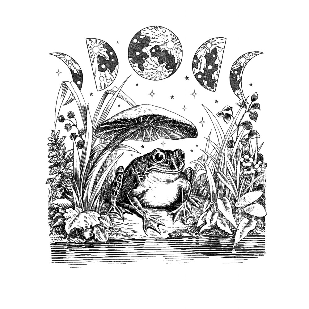 Cottagecore Aesthetic Frog, Mushroom Moon Witchcraft Vintage Dark Academia, Goblincore Froggy, Emo .png