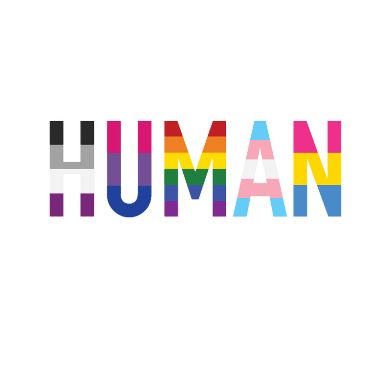 Human, Various Queer Flags 1.png