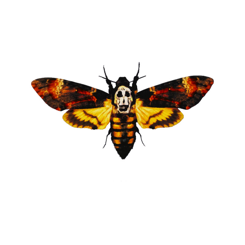 The silence of the lambs butterfly.png