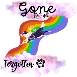 border collie pet loss gone but not forgotten