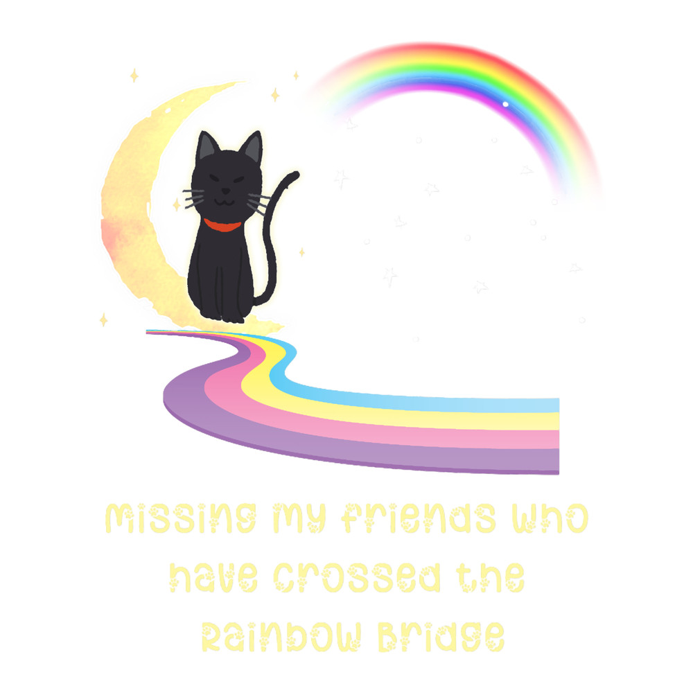Missing my friends who have crossed the rainbow bridge Premium .png