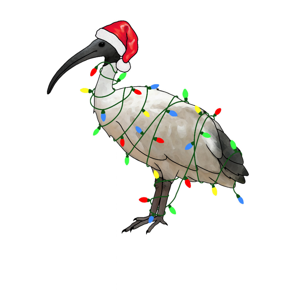 Extra Festive Bin Chicken.png