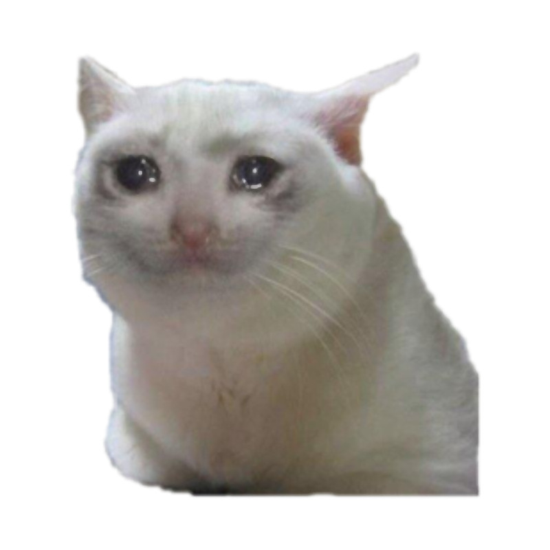 Crying cat funny meme .png