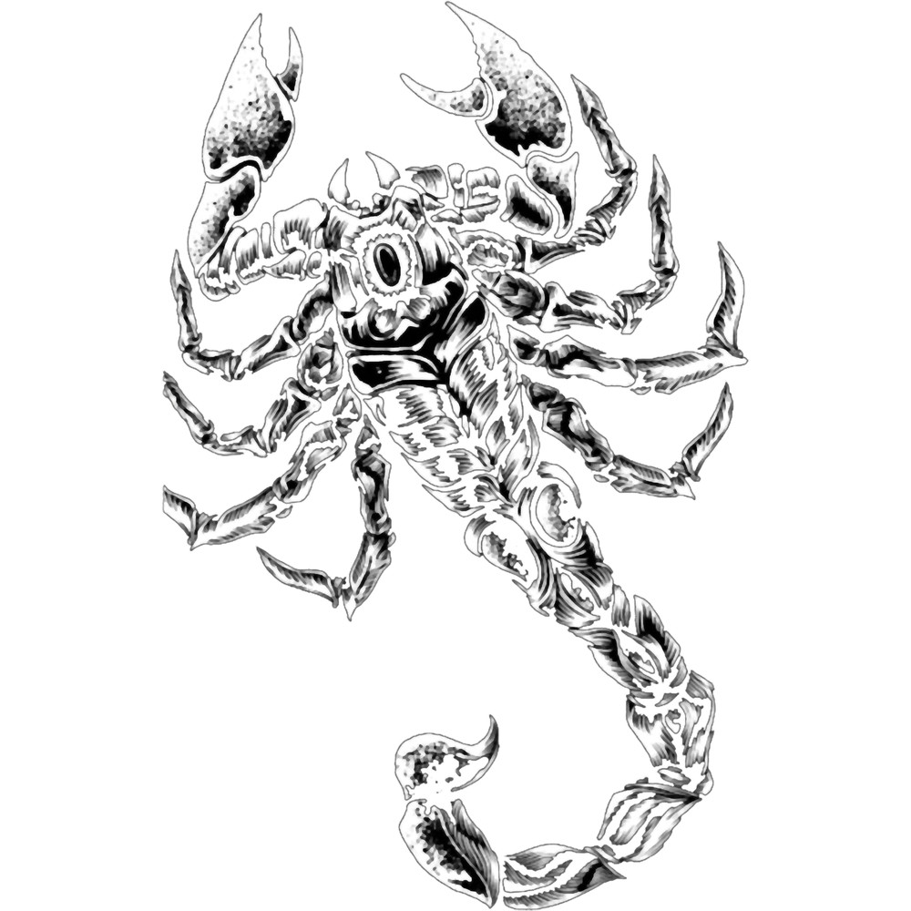 WWE WWF WCW TNA AEW Sting Logo NWO Hollywood Hulk Hogan Old Starrcade 97 School Vintage Pro Wrestlin.png