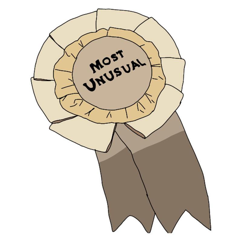 Most Unusual - Anne With An E .png