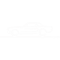 1964 65 66 Ford Mustang Hard Top.png