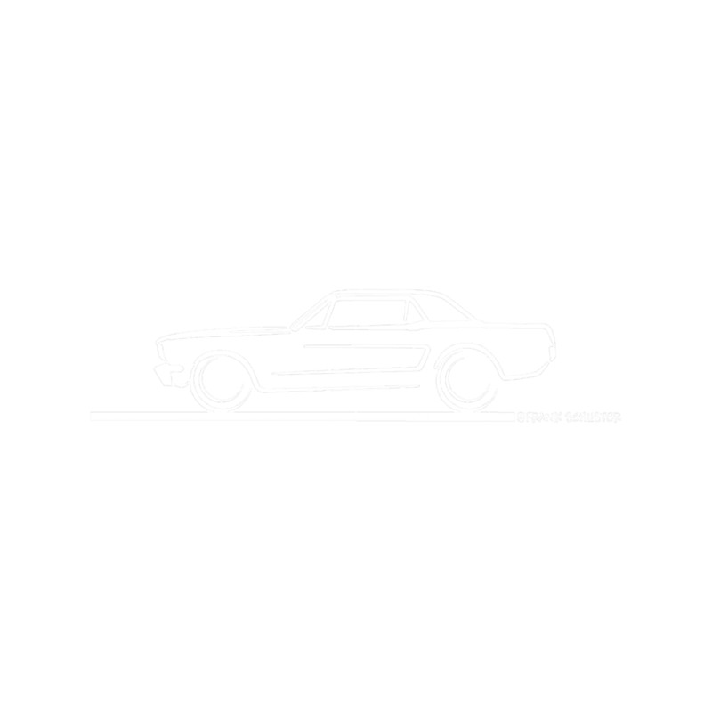 1964 65 66 Ford Mustang Hard Top.png