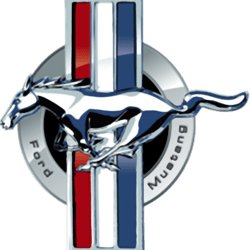 carbin fiber grill ford mustang