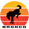 ford bronco.png