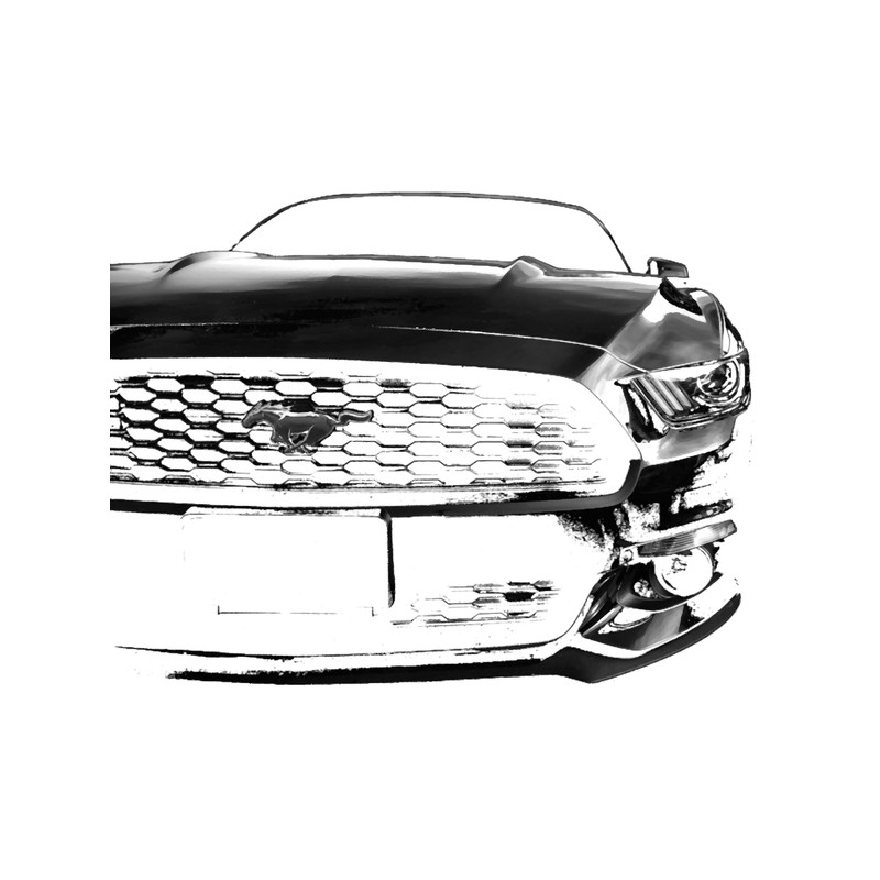 Ford Mustang - Black - 1.png