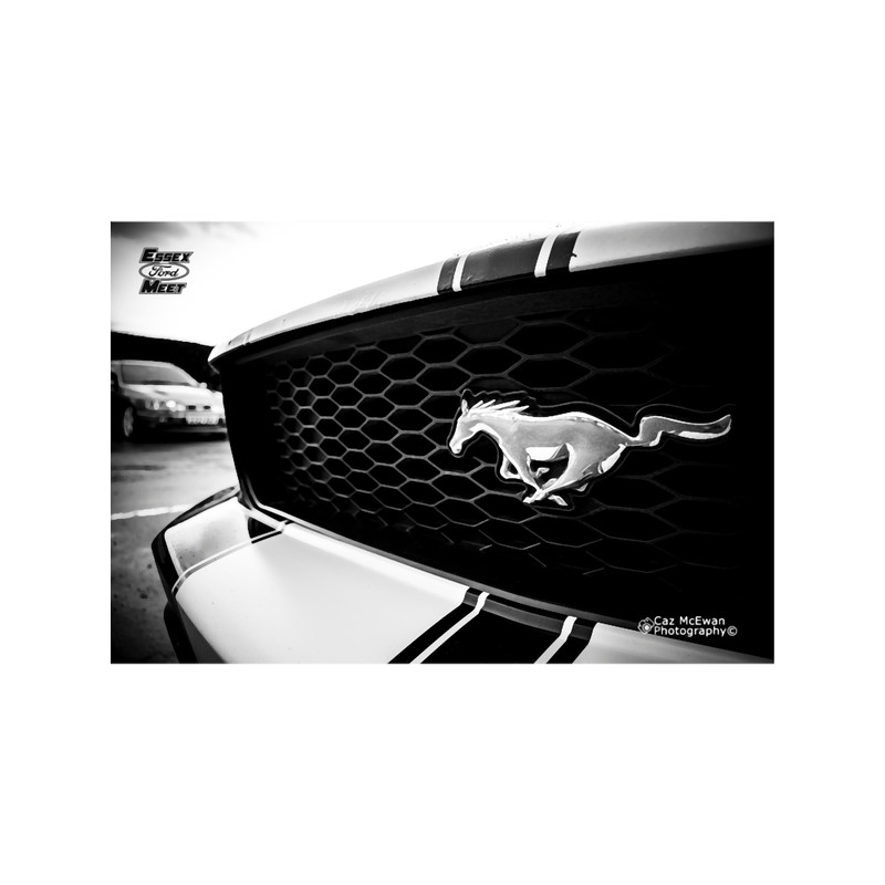 Ford Mustang 2.png