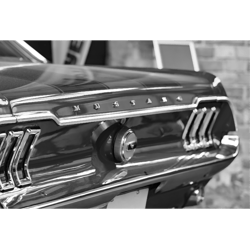 ford mustang gt (1)