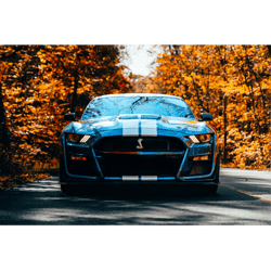 ford mustang(1)