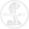 Logo Shelby Cobra White.png