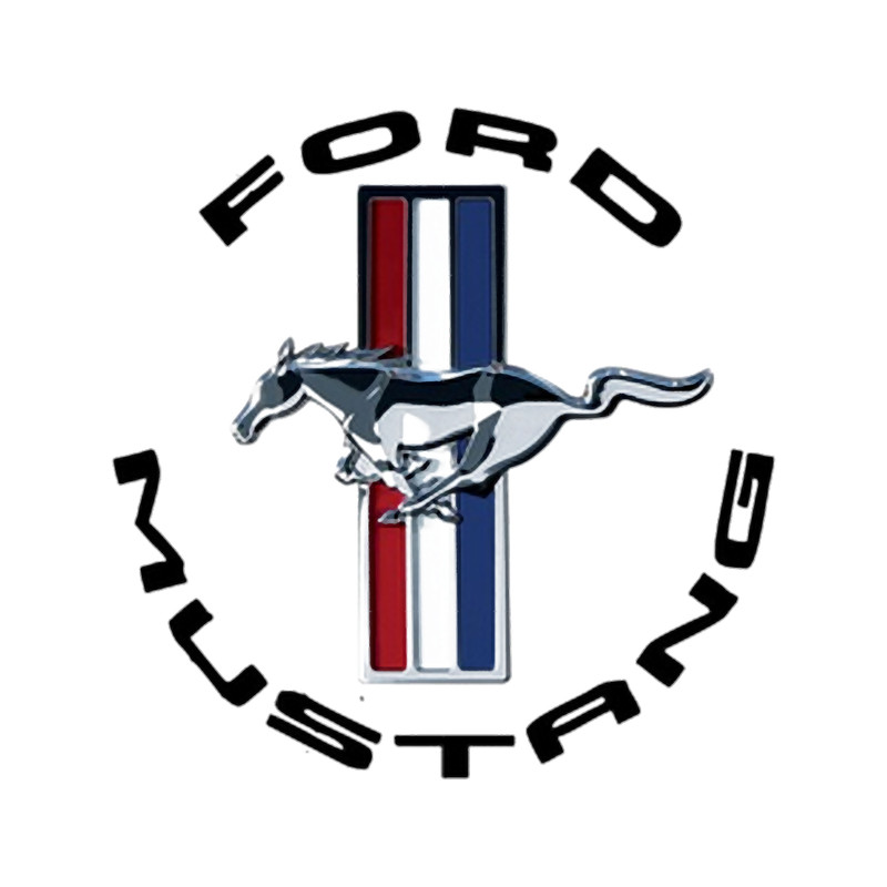 Metalic black circle.png