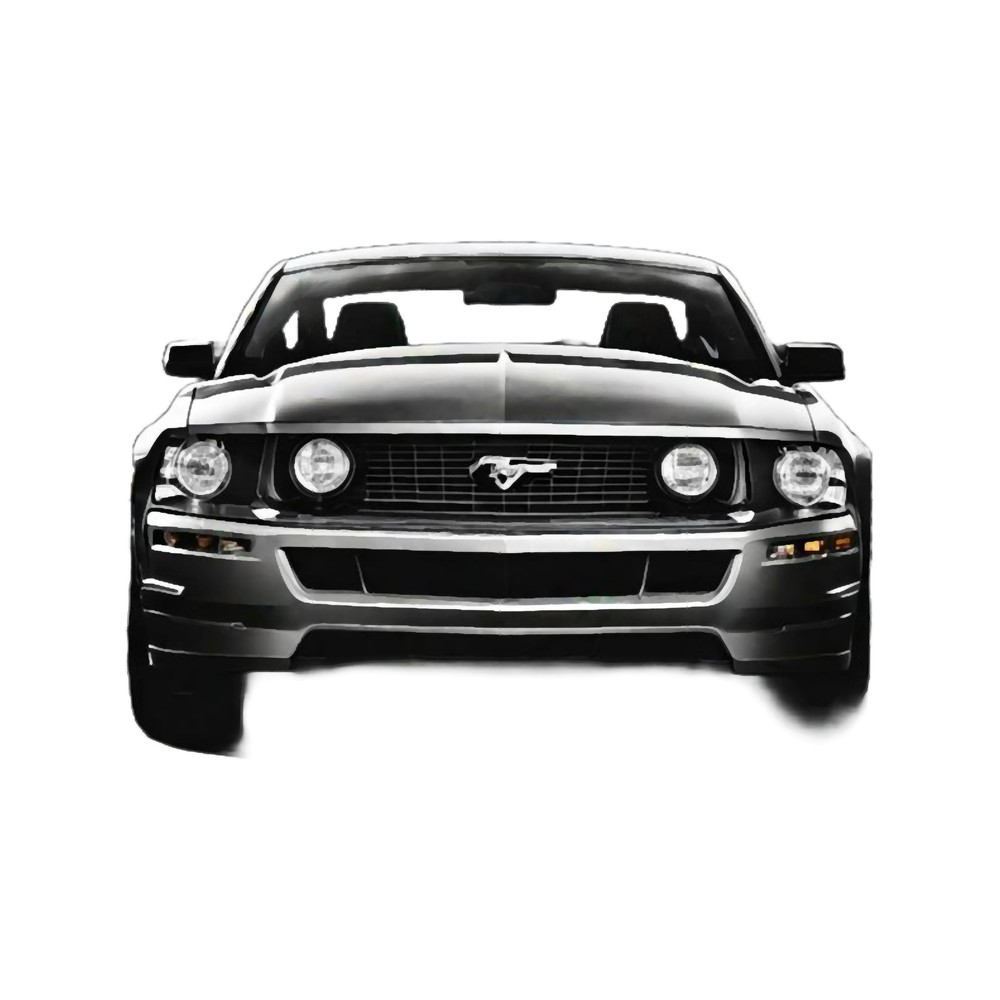 Mustang 4.png