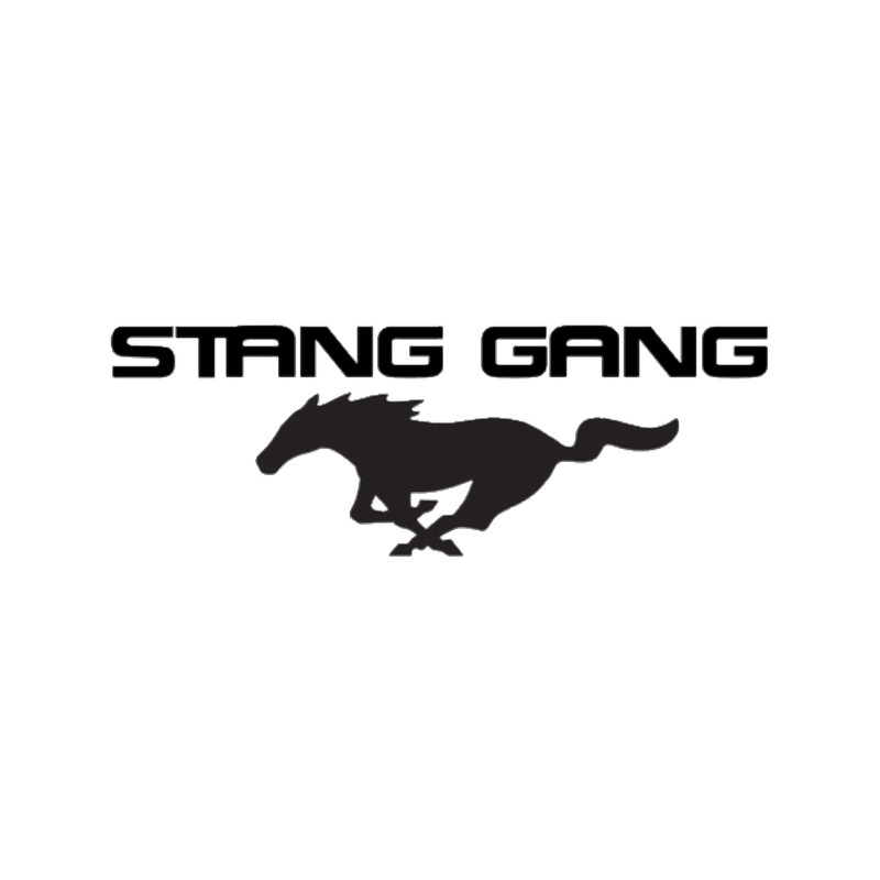 Stang Gang.png