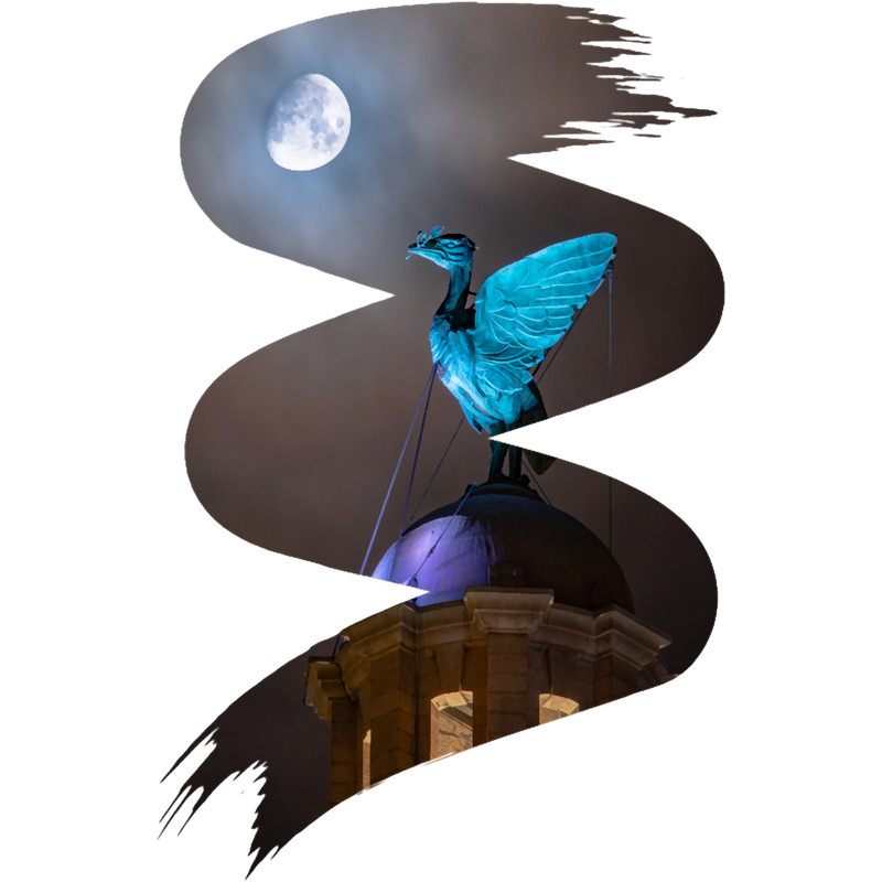 Lunar Liver Birds.png