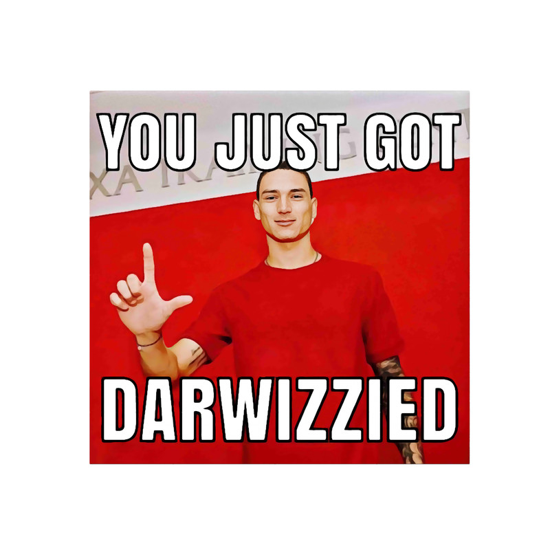 You Just Got Darwizzied.png