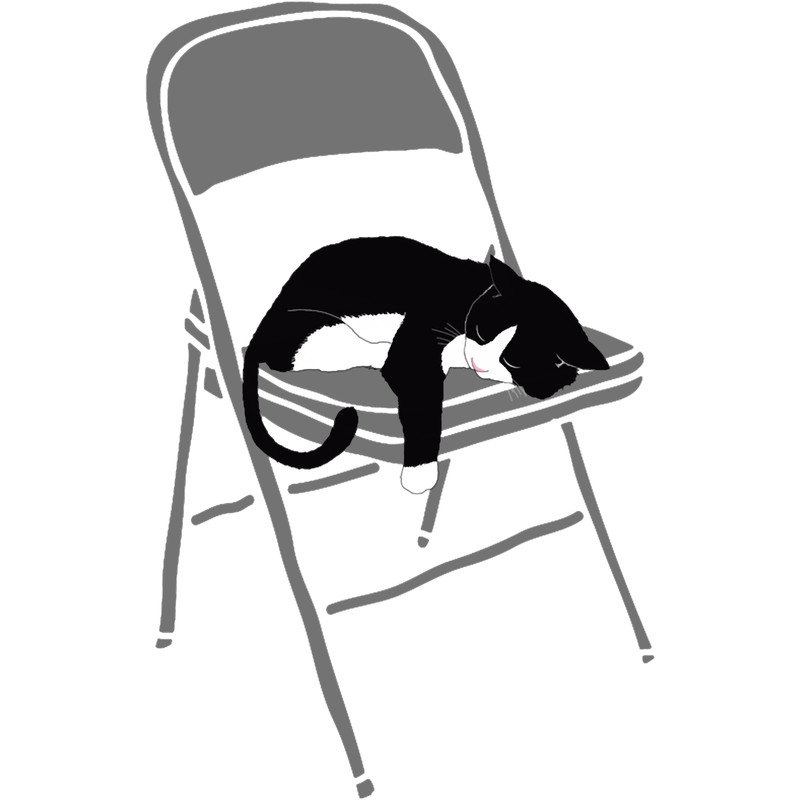 Folding chair with cat sleeping on it.png
