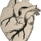 Florence and the Machine Heart.png