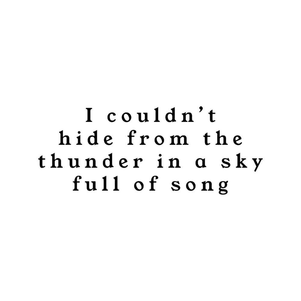 Hide from the Thunder.png