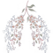Lungs.png