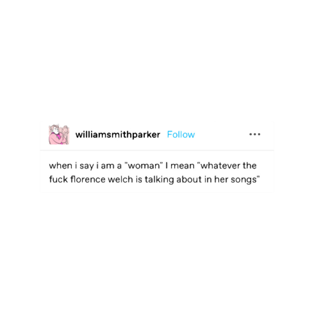 whatever the fuck florence welch is talking about in her songs.png