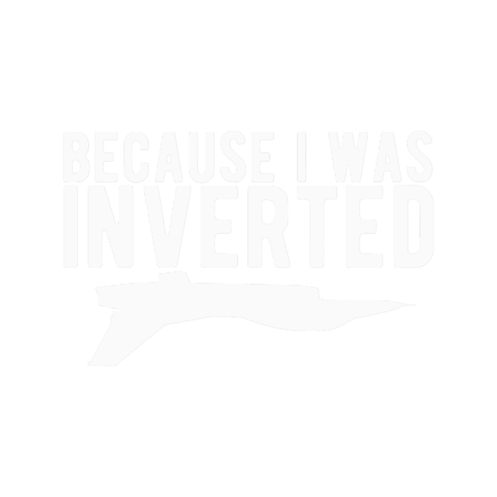 Because I Was Invertedfunny airplane jet pilot gift .png