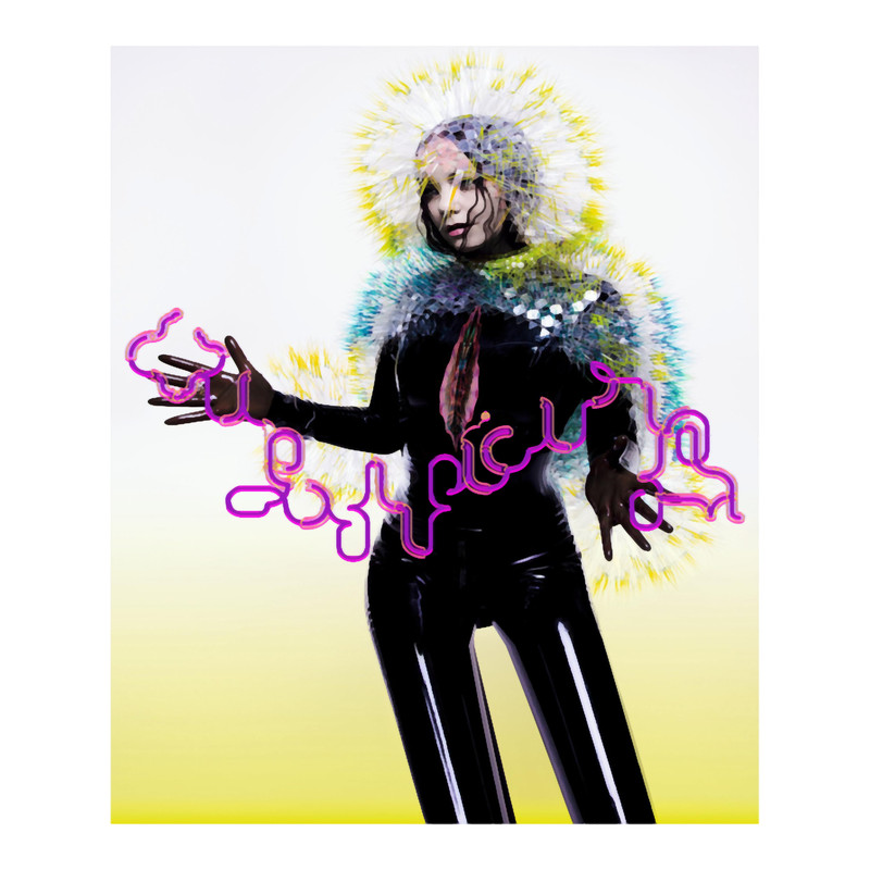 bjork vulnicura.png