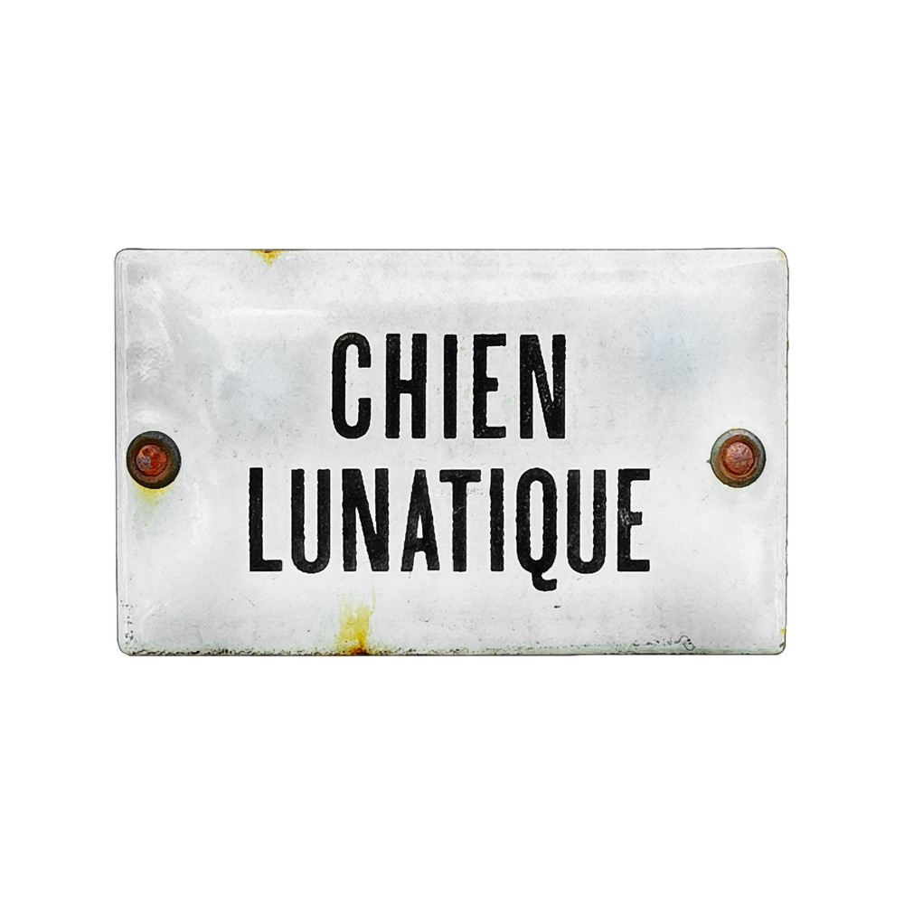 chien lunatique.png