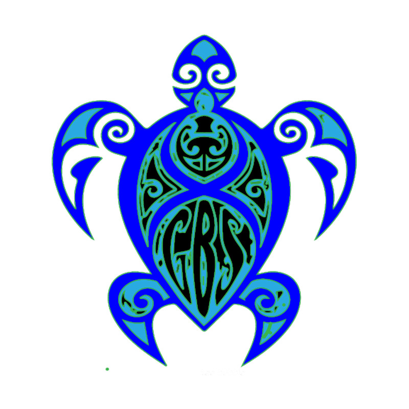 Gbs turtle.png
