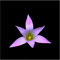Pink Enamel Orchid Long .png
