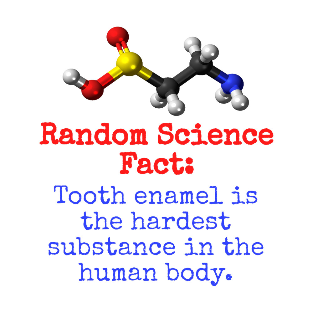 Tooth Enamel Is The Hardest Substance - Science Fact.png