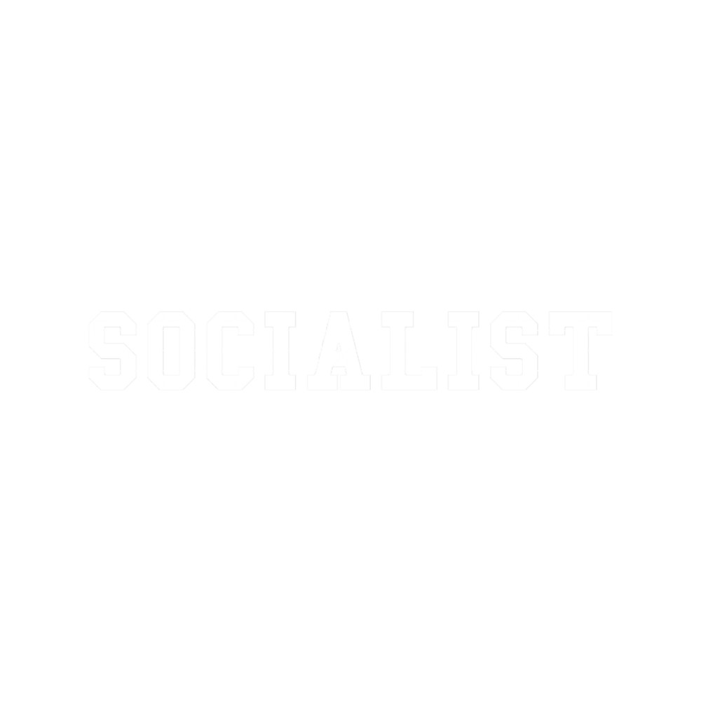 Socialist Sleek Modern design Cool Stylish and Clean Trendy s s.png