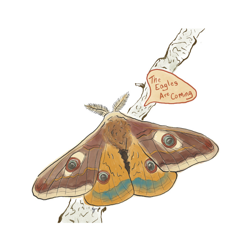 Best Moth.png